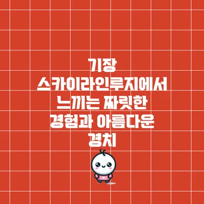 기장 스카이라인루지에서 느끼는 짜릿한 경험과 아름다운 경치
