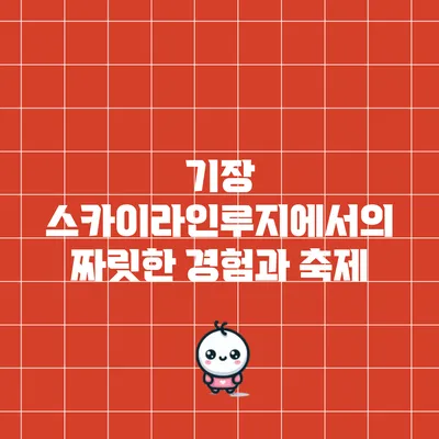 기장 스카이라인루지에서의 짜릿한 경험과 축제