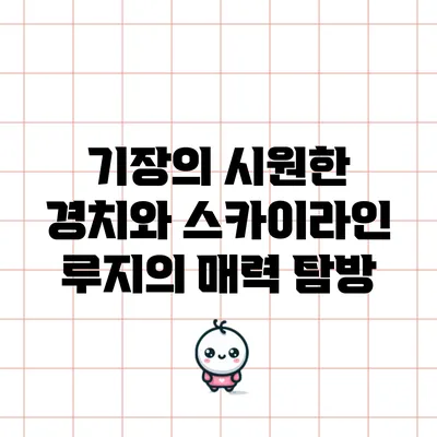 기장의 시원한 경치와 스카이라인 루지의 매력 탐방