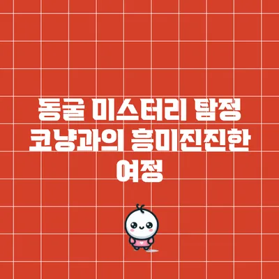 동굴 미스터리 탐정 코냥과의 흥미진진한 여정
