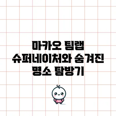 마카오 팀랩 슈퍼네이처와 숨겨진 명소 탐방기