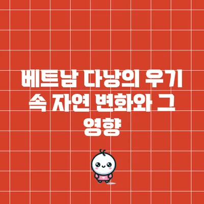 베트남 다낭의 우기 속 자연 변화와 그 영향