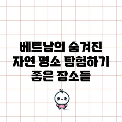 베트남의 숨겨진 자연 명소: 탐험하기 좋은 장소들