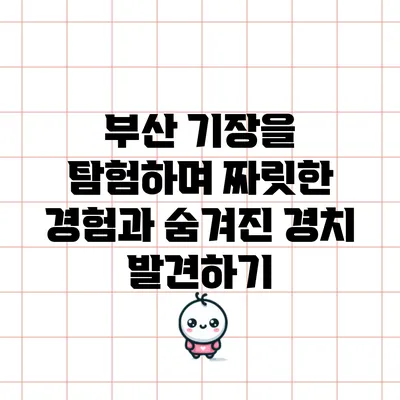부산 기장을 탐험하며 짜릿한 경험과 숨겨진 경치 발견하기