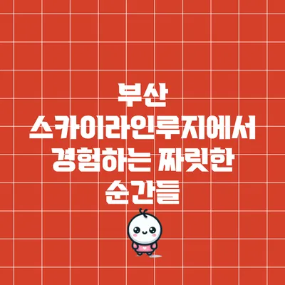 부산 스카이라인루지에서 경험하는 짜릿한 순간들
