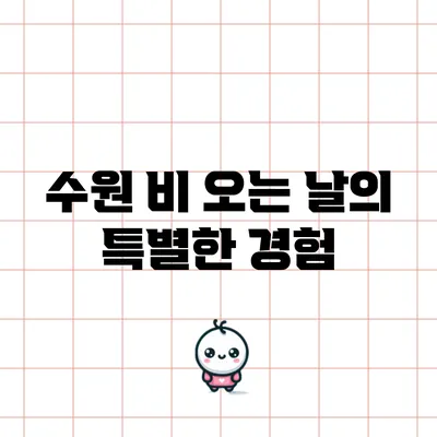 수원 비 오는 날의 특별한 경험