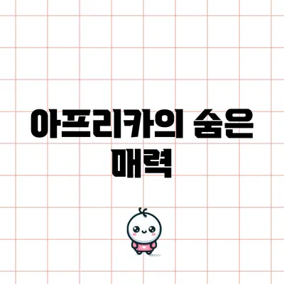 아프리카의 숨은 매력