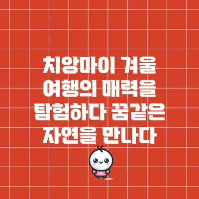 치앙마이 겨울 여행의 매력을 탐험하다: 꿈같은 자연을 만나다