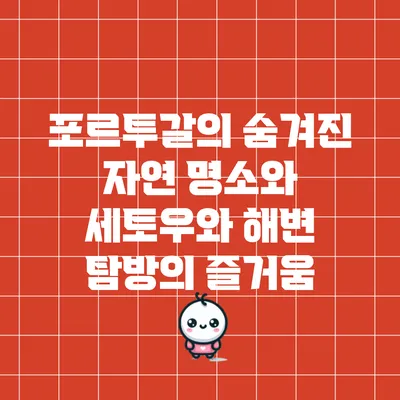 포르투갈의 숨겨진 자연 명소와 세토우와 해변 탐방의 즐거움