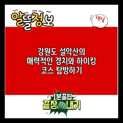 강원도 설악산의 매력적인 경치와 하이킹 코스 탐방하기