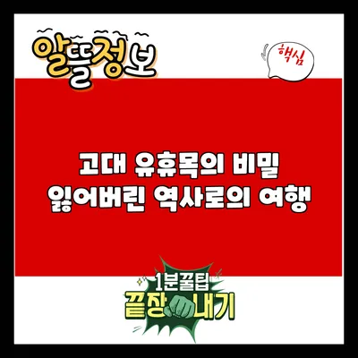 고대 유휴목의 비밀: 잃어버린 역사로의 여행