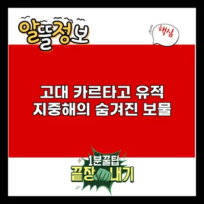 고대 카르타고 유적: 지중해의 숨겨진 보물
