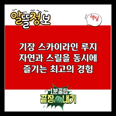 기장 스카이라인 루지: 자연과 스릴을 동시에 즐기는 최고의 경험