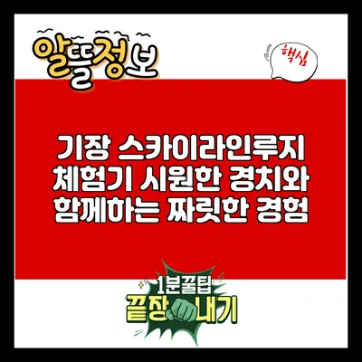 기장 스카이라인루지 체험기: 시원한 경치와 함께하는 짜릿한 경험