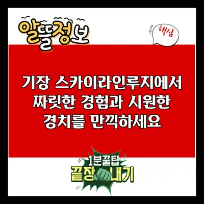 기장 스카이라인루지에서 짜릿한 경험과 시원한 경치를 만끽하세요