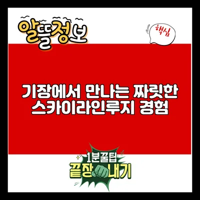 기장에서 만나는 짜릿한 스카이라인루지 경험