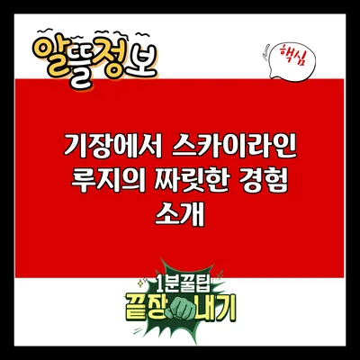 기장에서 스카이라인 루지의 짜릿한 경험 소개