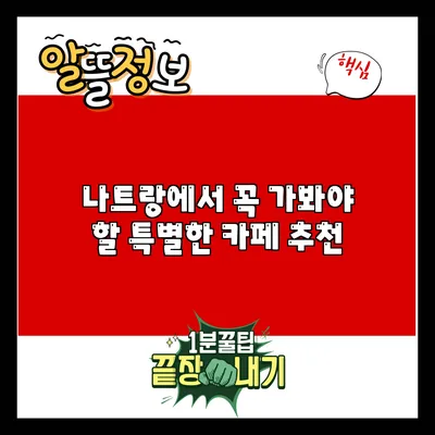 나트랑에서 꼭 가봐야 할 특별한 카페 추천