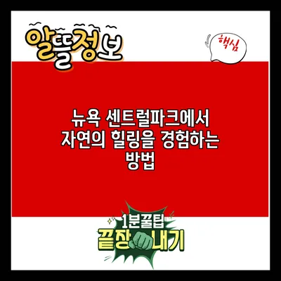 뉴욕 센트럴파크에서 자연의 힐링을 경험하는 방법