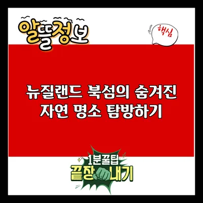 뉴질랜드 북섬의 숨겨진 자연 명소 탐방하기