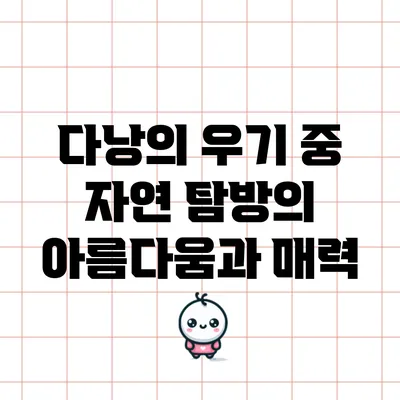다낭의 우기 중 자연 탐방의 아름다움과 매력