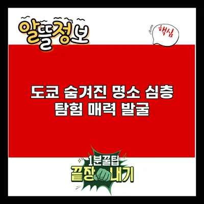 도쿄 숨겨진 명소 심층 탐험: 매력 발굴