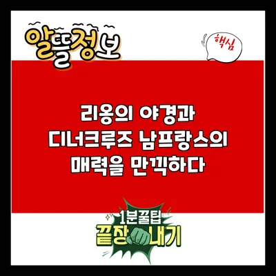 리옹의 야경과 디너크루즈: 남프랑스의 매력을 만끽하다