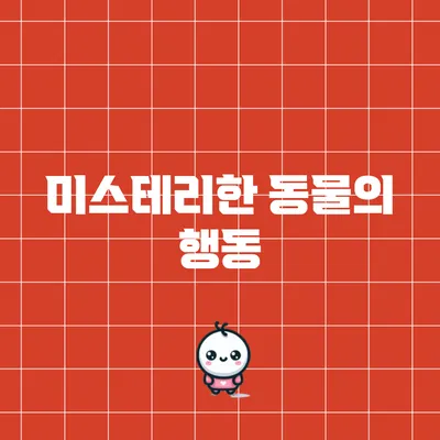 미스테리한 동물의 행동