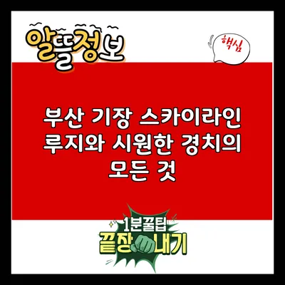 부산 기장 스카이라인 루지와 시원한 경치의 모든 것