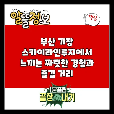 부산 기장 스카이라인루지에서 느끼는 짜릿한 경험과 즐길 거리