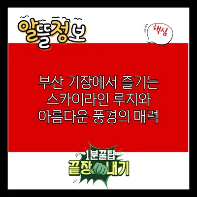 부산 기장에서 즐기는 스카이라인 루지와 아름다운 풍경의 매력