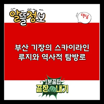 부산 기장의 스카이라인 루지와 역사적 탐방로