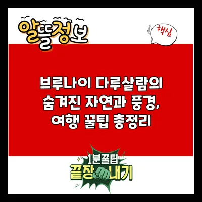 브루나이 다루살람의 숨겨진 자연과 풍경, 여행 꿀팁 총정리