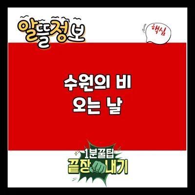 수원의 비 오는 날