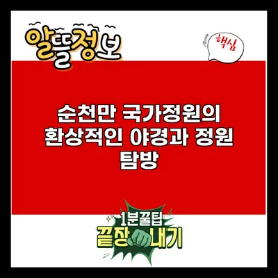 순천만 국가정원의 환상적인 야경과 정원 탐방