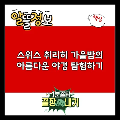 스위스 취리히 가을밤의 아름다운 야경 탐험하기