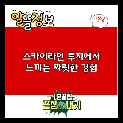 스카이라인 루지에서 느끼는 짜릿한 경험