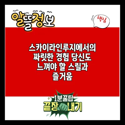 스카이라인루지에서의 짜릿한 경험: 당신도 느껴야 할 스릴과 즐거움