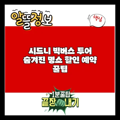 시드니 빅버스 투어: 숨겨진 명소 할인 예약 꿀팁