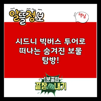 시드니 빅버스 투어로 떠나는 숨겨진 보물 탐방!