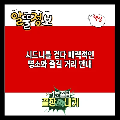 시드니를 걷다: 매력적인 명소와 즐길 거리 안내