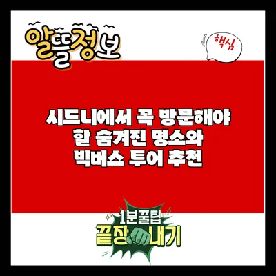 시드니에서 꼭 방문해야 할 숨겨진 명소와 빅버스 투어 추천