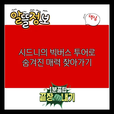 시드니의 빅버스 투어로 숨겨진 매력 찾아가기