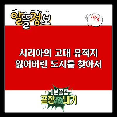 시리아의 고대 유적지: 잃어버린 도시를 찾아서