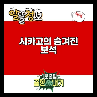 시카고의 숨겨진 보석