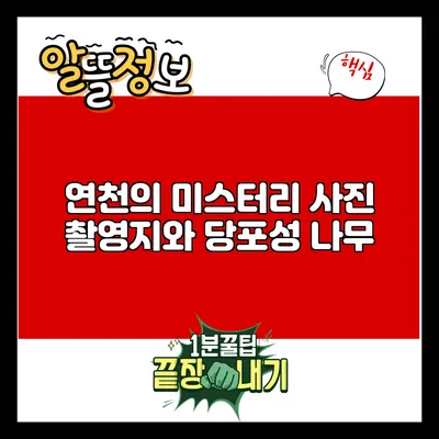 연천의 미스터리 사진 촬영지와 당포성 나무