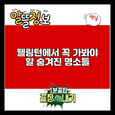 웰링턴에서 꼭 가봐야 할 숨겨진 명소들