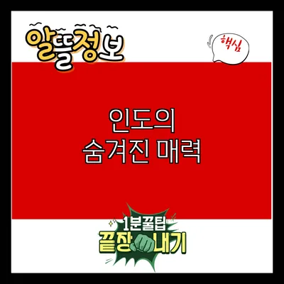 인도의 숨겨진 매력