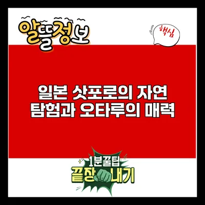 일본 삿포로의 자연 탐험과 오타루의 매력