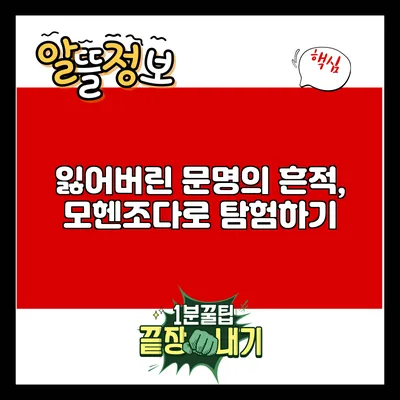 잃어버린 문명의 흔적, 모헨조다로 탐험하기